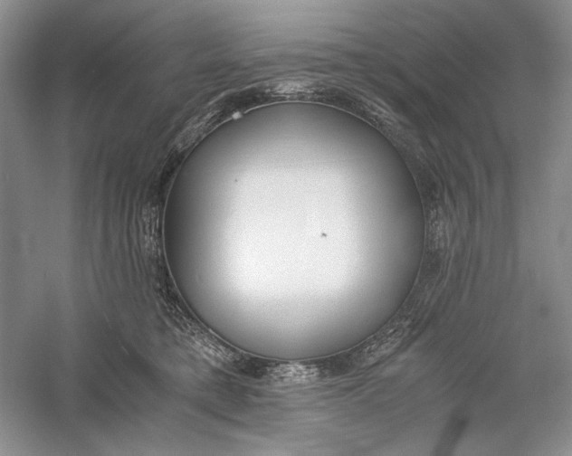 X0000056000421200509092051