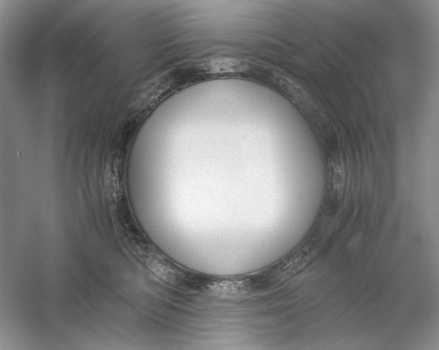 X0000056000422200509092051