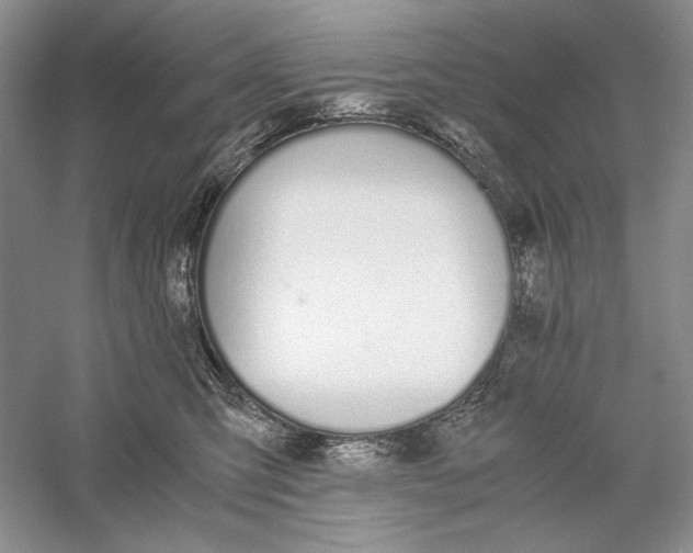 X0000056000423200509092051