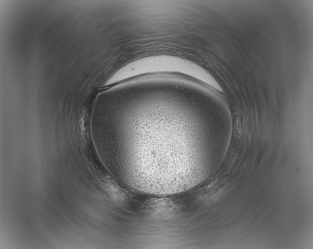 X0000056000424200509092051