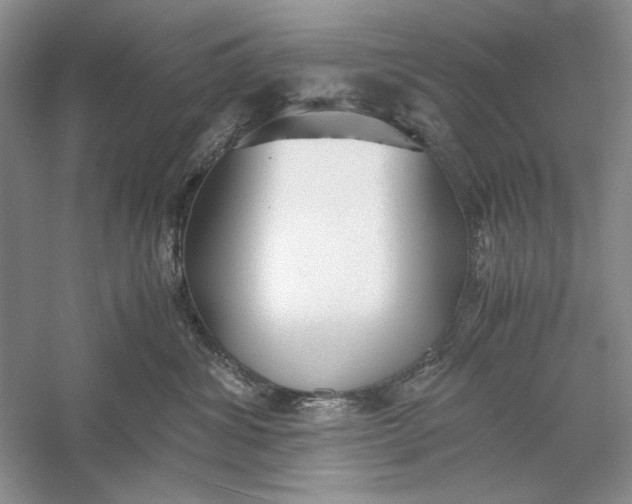 X0000056000428200509092051