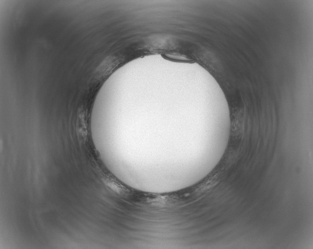 X0000056000430200509092051