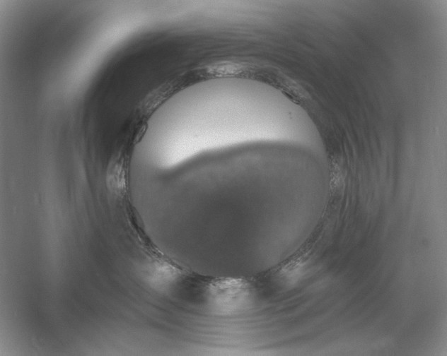 X0000056000431200509092050