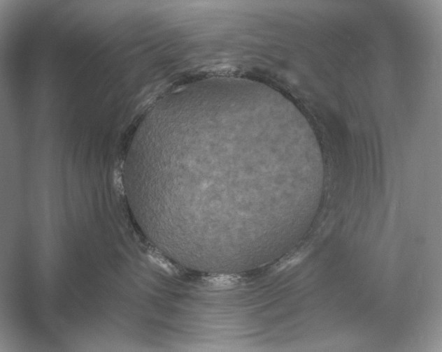 X0000056000432200509092050