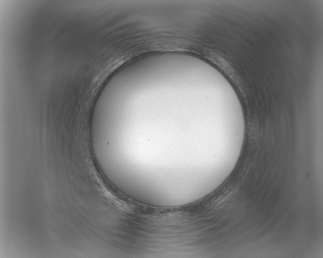 X0000056000433200509092050