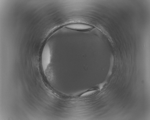 X0000056000434200509092050