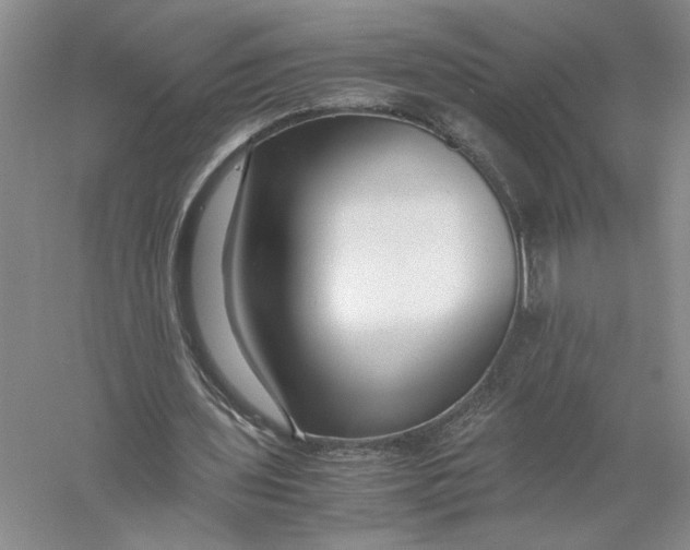 X0000056000435200509092050