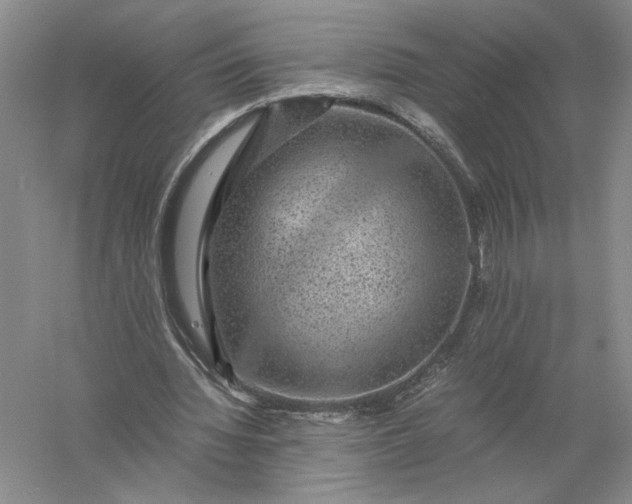 X0000056000436200509092050