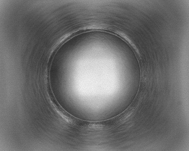 X0000056000437200509092050