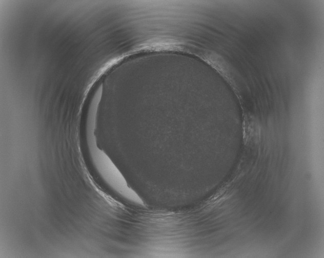 X0000056000438200509092050