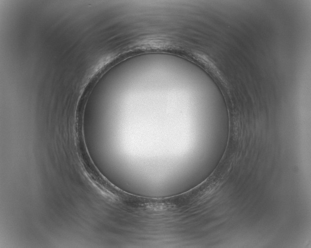 X0000056000439200509092050