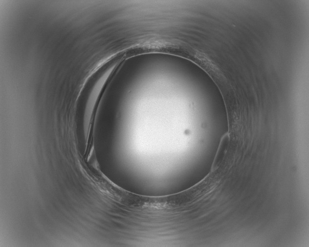 X0000056000440200509092050