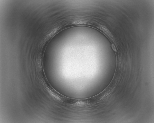 X0000056000441200509092050