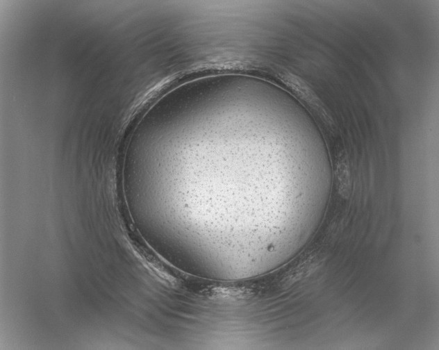 X0000056000442200509092050