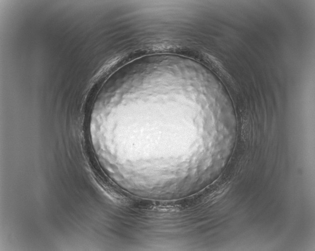 X0000056000443200509092050