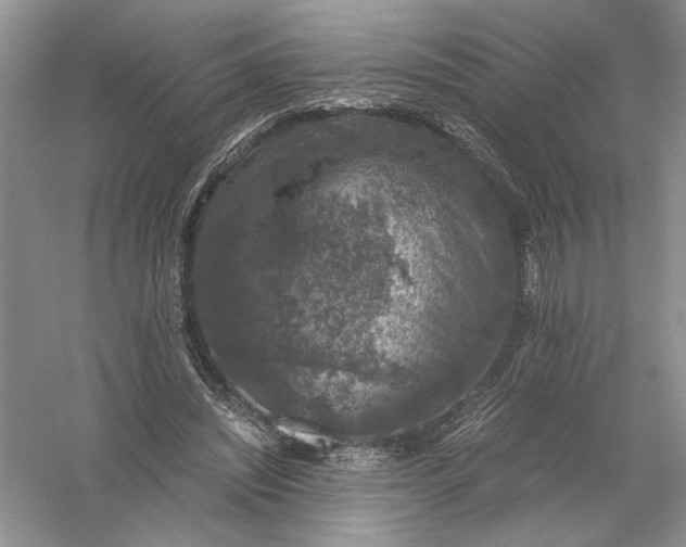 X0000056000444200509092050