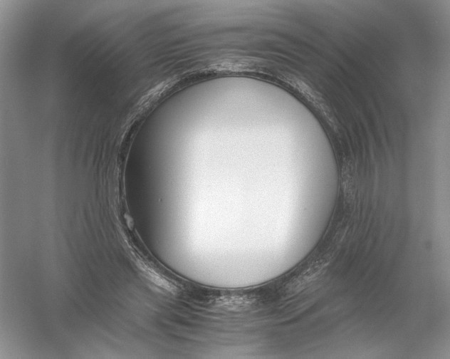 X0000056000445200509092050