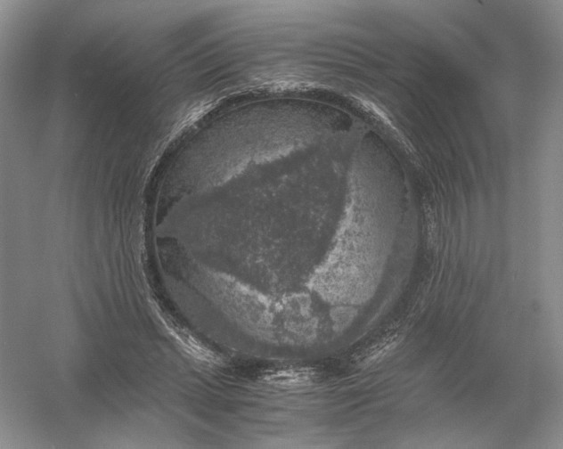 X0000056000447200509092050