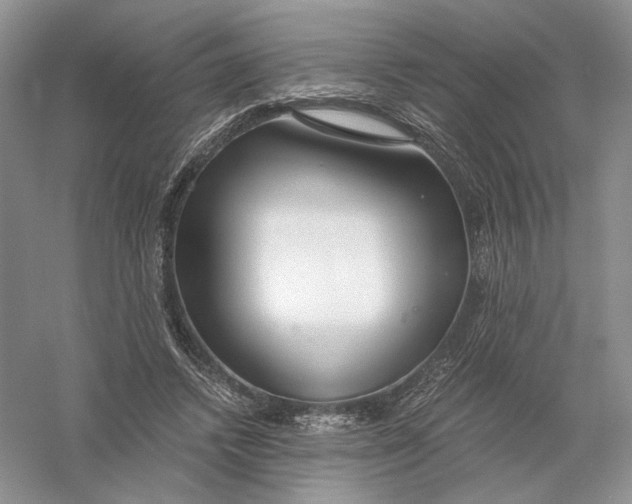 X0000056000448200509092050