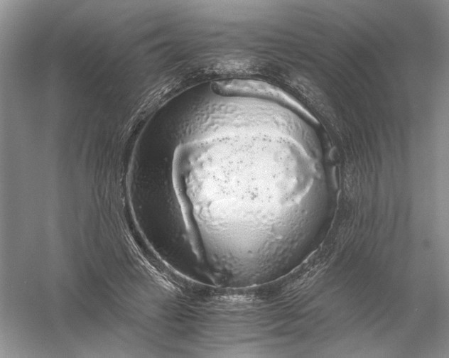 X0000056000449200509092050