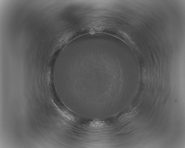 X0000056000451200509092050