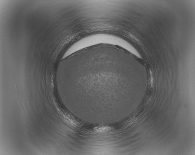 X0000056000452200509092050