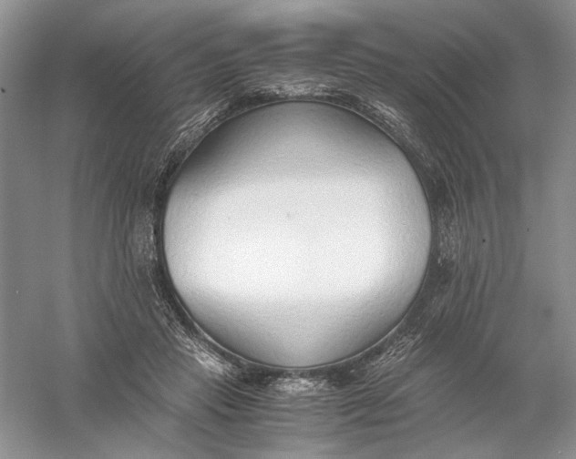 X0000056000453200509092050