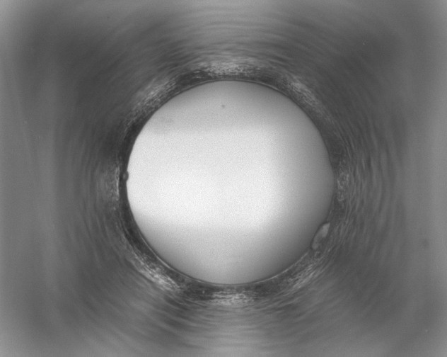 X0000056000454200509092050