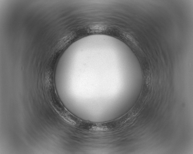 X0000056000455200509092050