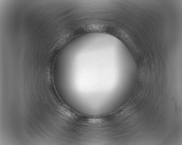 X0000056000457200509092050