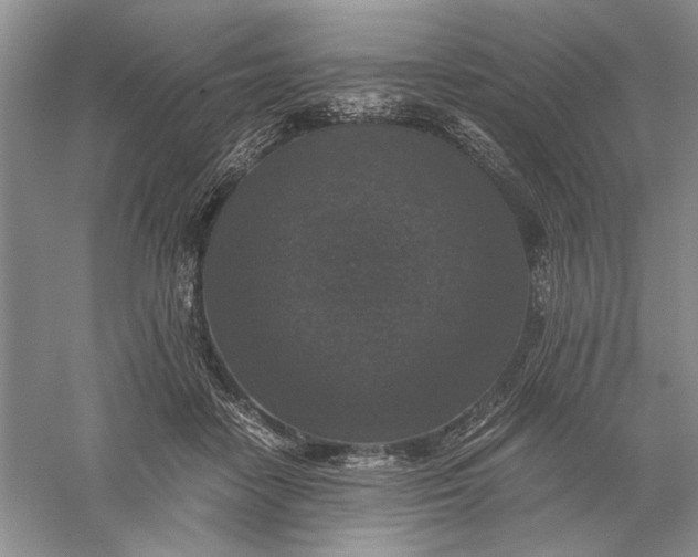 X0000056000458200509092050