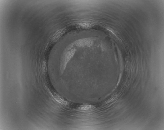 X0000056000459200509092050