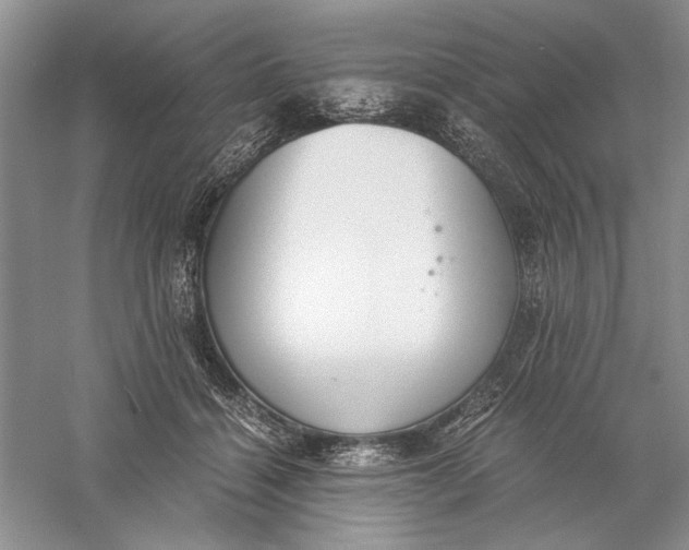 X0000056000460200509092050