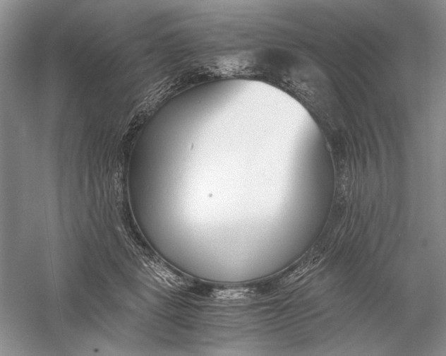 X0000056000461200509092050