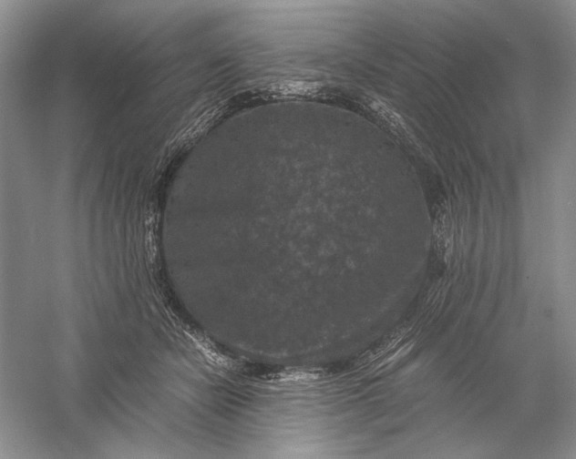 X0000056000462200509092050