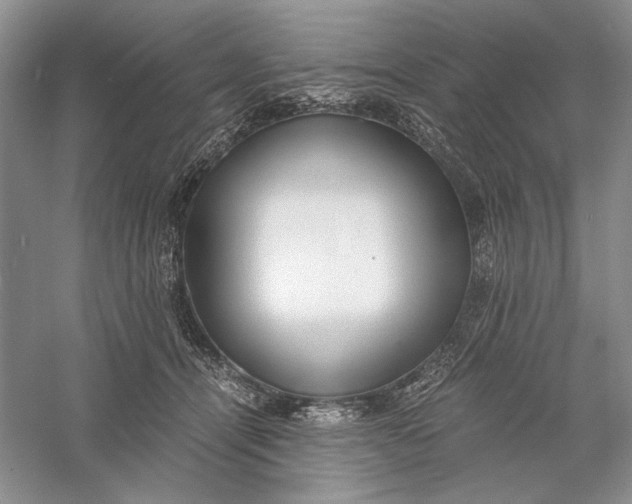 X0000056000464200509092050