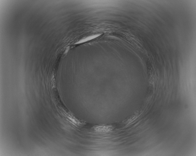 X0000056000465200509092050