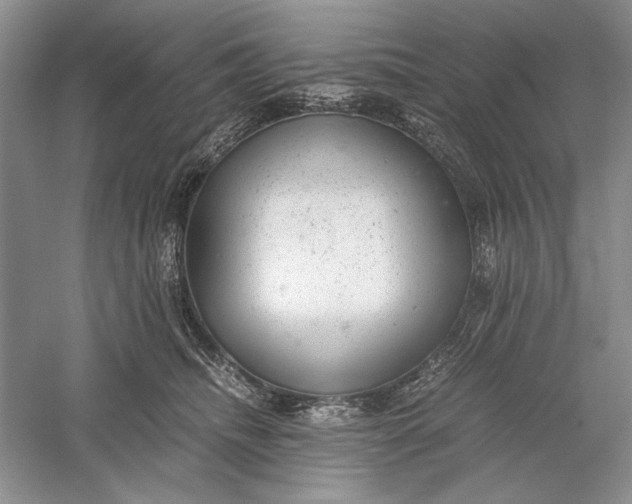 X0000056000468200509092050