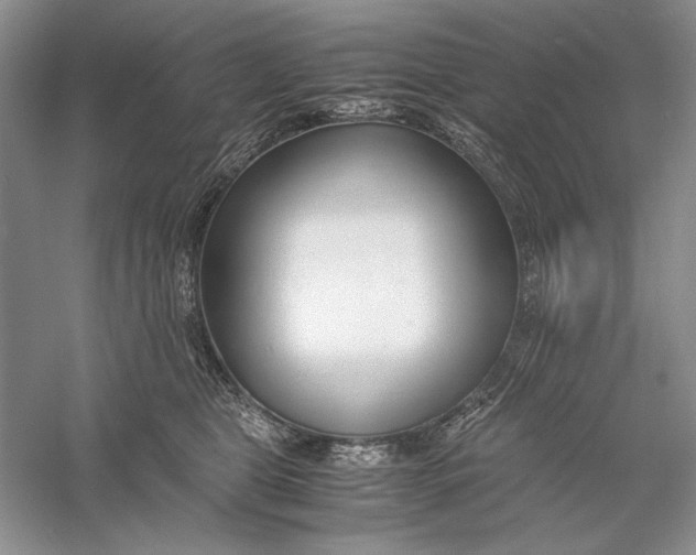 X0000056000469200509092050