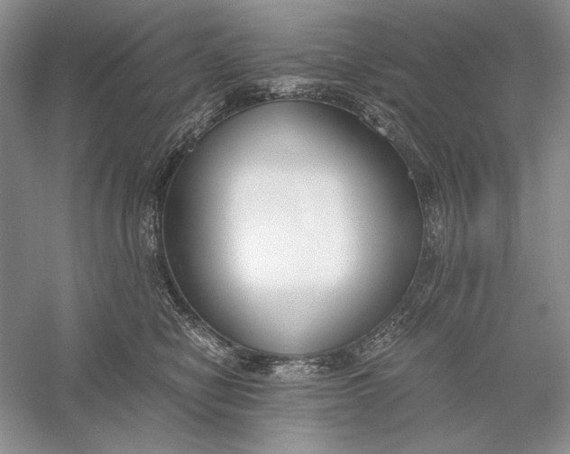 X0000056000470200509092050