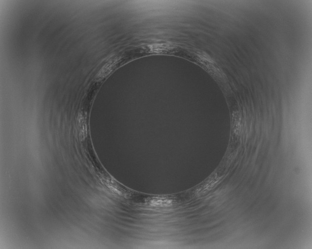 X0000056000471200509092050