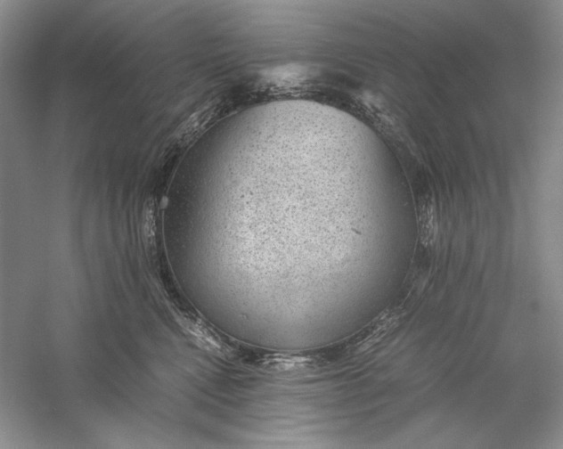 X0000056000472200509092050