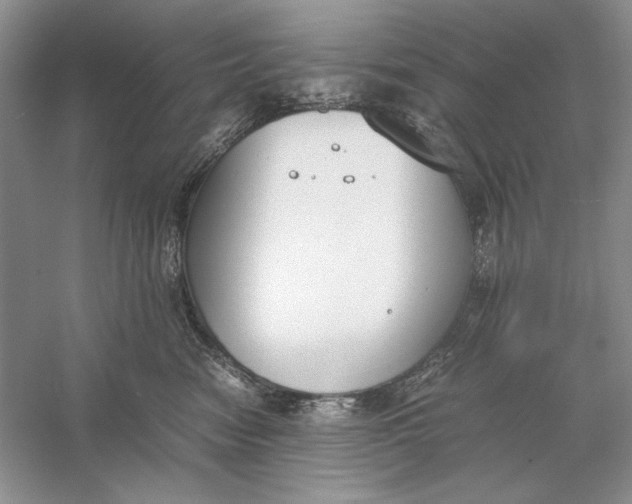 X0000056000474200509092050