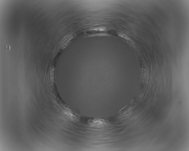 X0000056000475200509092050