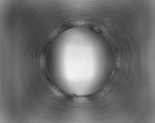 X0000056000476200509092050