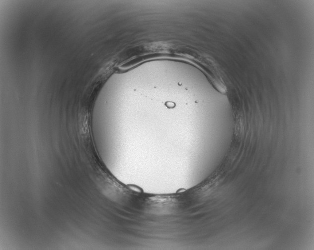 X0000056000477200509092050