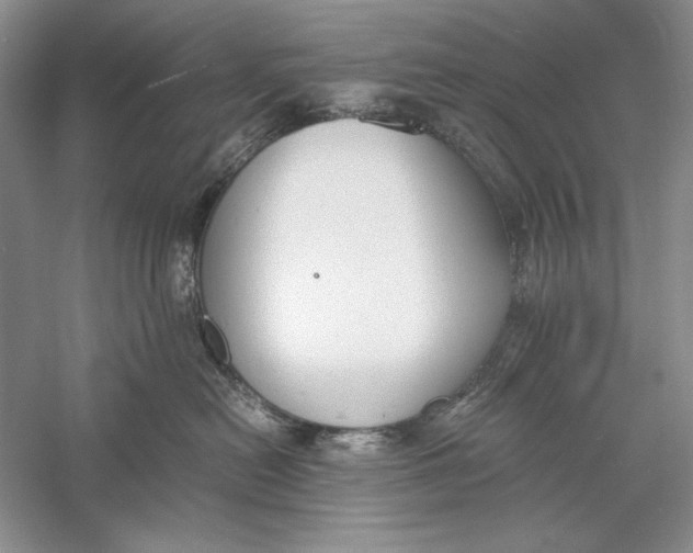 X0000056000478200509092050