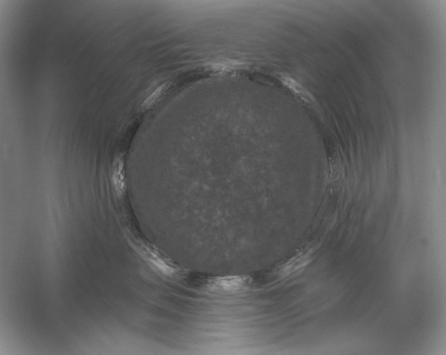 X0000056000479200509092050