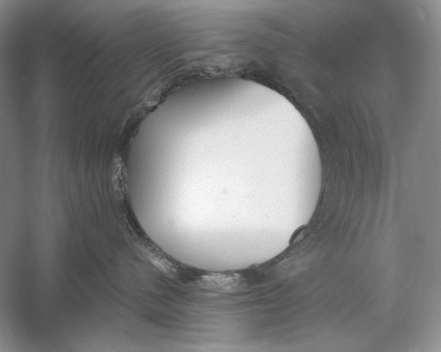 X0000056000480200509092050