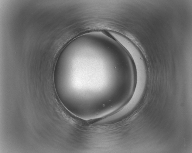 X0000056000481200509092050